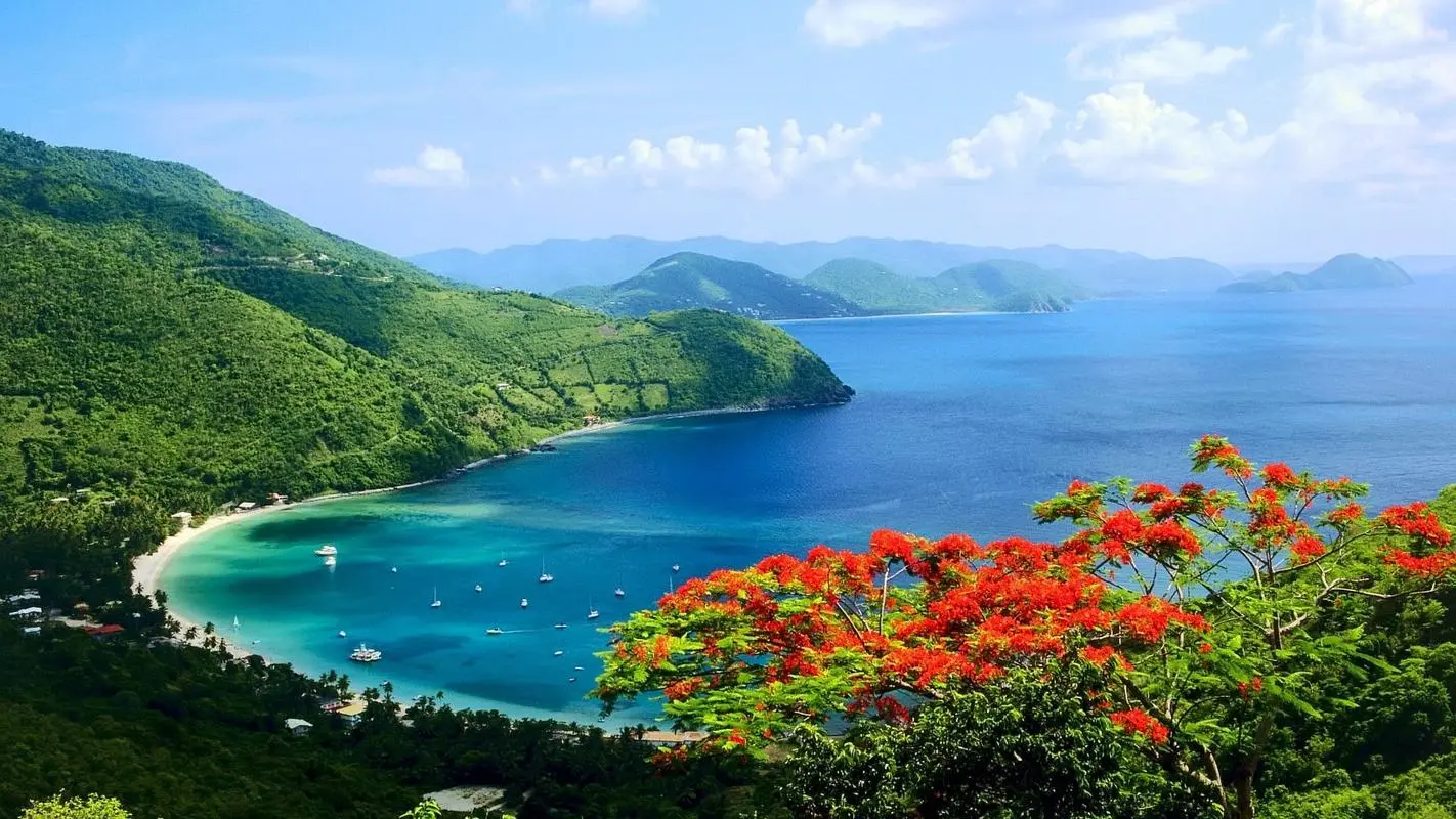 高质量高性能